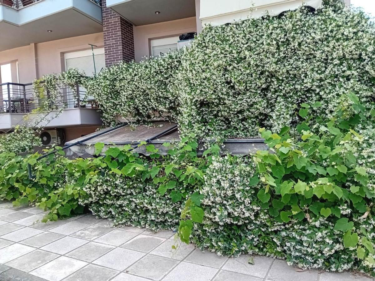 Stella'S Jasmine Lejlighed Thessaloníki Eksteriør billede